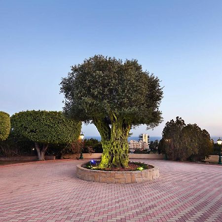 Olive Tree Apartments Лимасол Екстериор снимка