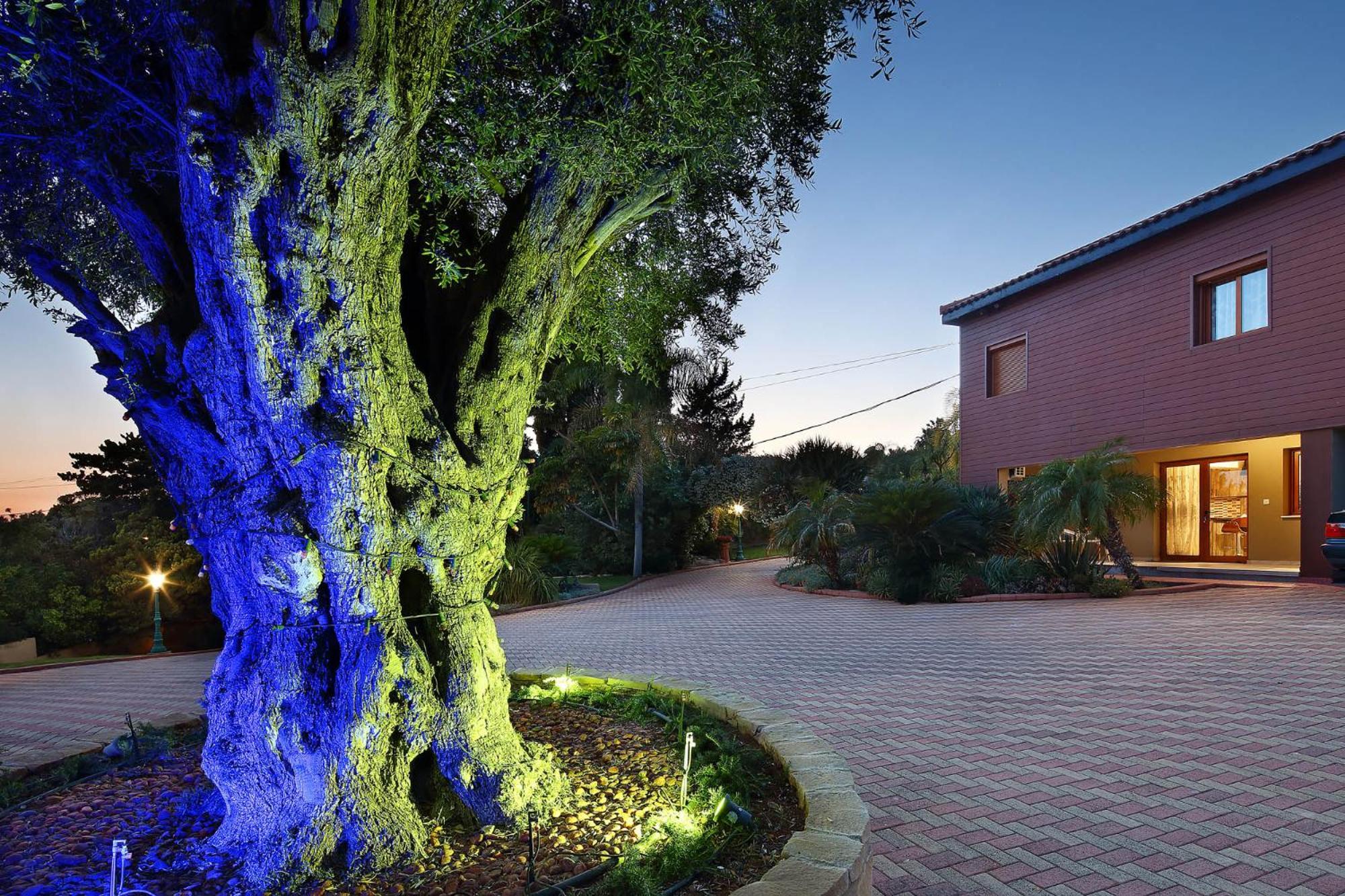 Olive Tree Apartments Лимасол Екстериор снимка